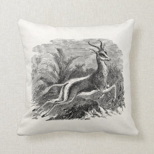 Springbok Antelope Gazelle Persoonlijk Kussen