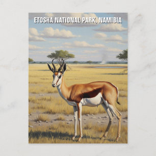Springbok Etosha Nationaal Park Namibië Reizen Briefkaart