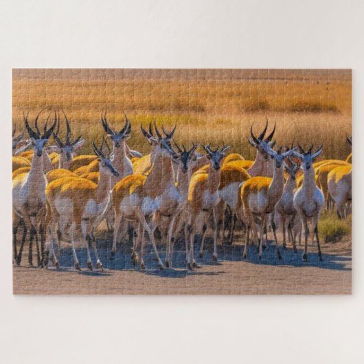 Springbok Herd Legpuzzel (Horizontaal)