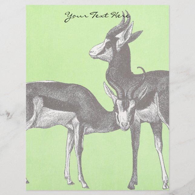 Springbok Letterhead (Voorkant)