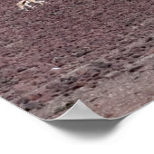 Springboks grazen voor voedsel, de Namib-woestijn. Poster (Hoek)