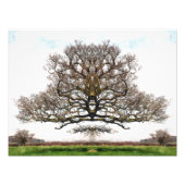 SPRINGBOMEN FOTO AFDRUK (Voorkant)