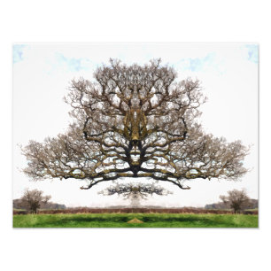 SPRINGBOMEN FOTO AFDRUK