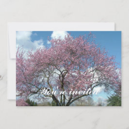 springboom voor lenskersen kaart