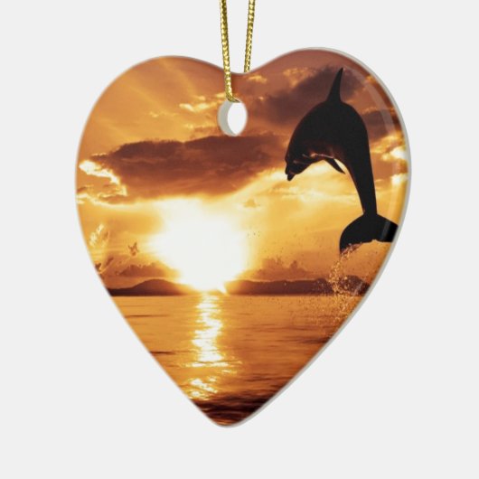 springdolfijn met prachtige zonsondergang over het keramisch ornament (Links)