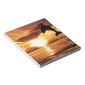 springdolfijn met prachtige zonsondergang over het notitieblok (Schuin)