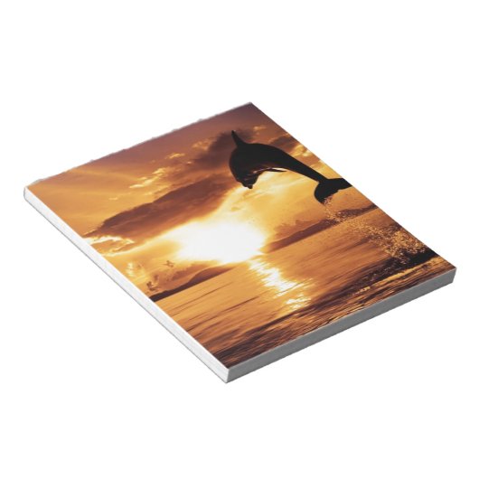 springdolfijn met prachtige zonsondergang over het notitieblok (Schuin)