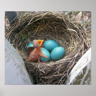 springen_new_geboorte_first-born poster