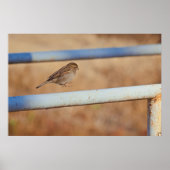 Springen Poster (Voorkant)