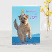 Springen voor vreugde, Wheaten Terrier, Verjaardag Kaart (Gele Bloem)