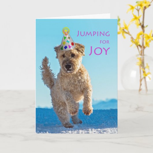 Springen voor vreugde, Wheaten Terrier, Verjaardag Kaart (Gele Bloem)