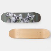 SPRINGENDE MAKIEN SKATEBOARD (Horizontaal)