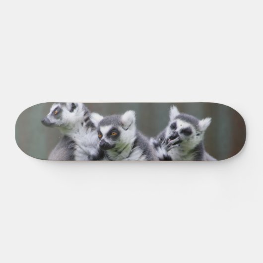 SPRINGENDE MAKIEN SKATEBOARD (Horizontaal)