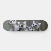 SPRINGENDE MAKI'S SKATEBOARD (Horizontaal)