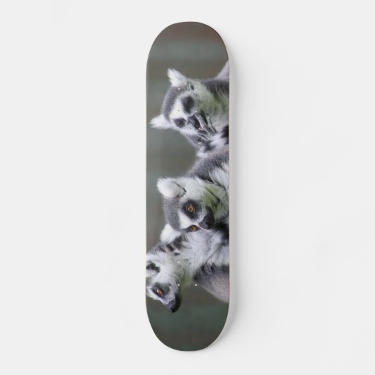 SPRINGENDE MAKI'S SKATEBOARD (Voorkant)