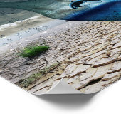 Springende orvis in fles poster (Hoek)