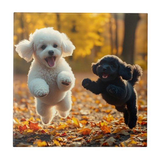Springende Poodle Puppies Tegeltje (Voorkant)