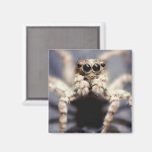 springende spin vierkante magneet (Voorkant / Achterkant)