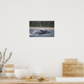 Springende walvis foto poster (Keuken)