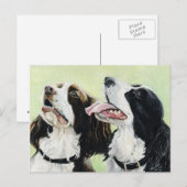 Springer Beggers Oorspronkelijke Art Post Card Briefkaart (Voorkant / Achterkant)