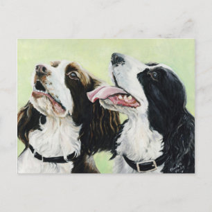 Springer Beggers Oorspronkelijke Art Post Card Briefkaart