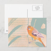 SPRINGER BRIEFKAART (Voorkant / Achterkant)