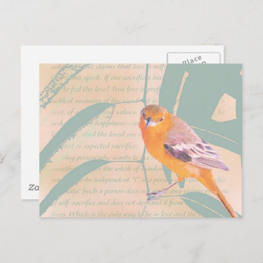 SPRINGER BRIEFKAART (Voorkant / Achterkant)