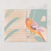 SPRINGER BRIEFKAART (Voorkant)