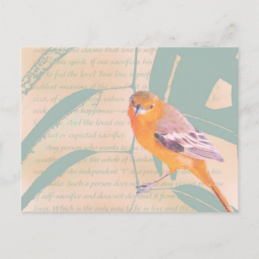 SPRINGER BRIEFKAART (Voorkant)