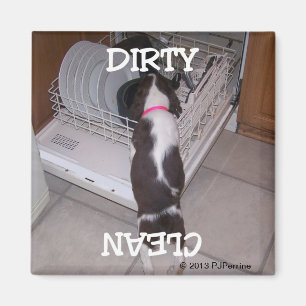 Springer Dishwaser Magnet