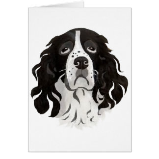 Springer-gezichtskaart