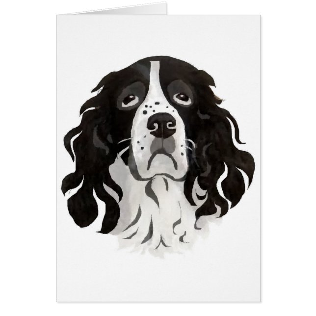 Springer-gezichtskaart (Voorkant)