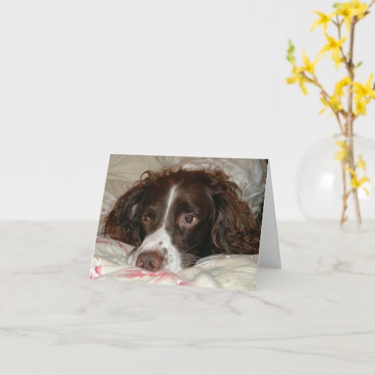 Springer Love Kaart (Gele Bloem)