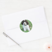 Springer Puppy Stickers (Envelop)