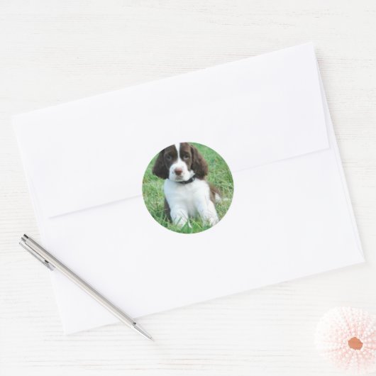 Springer Puppy Stickers (Envelop)