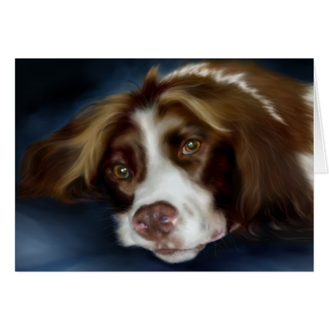 Springer Spaniel (Voorkant Horizontaal)
