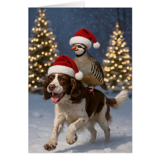 Springer Spaniel and Partridge Christmas card (Voorkant)