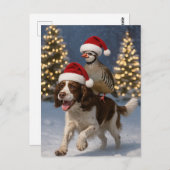 Springer Spaniel and Partridge Christmas postcard Briefkaart (Voorkant / Achterkant)