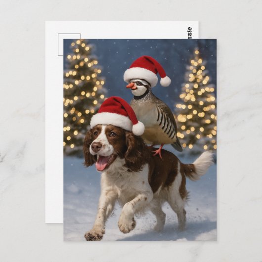 Springer Spaniel and Partridge Christmas postcard Briefkaart (Voorkant / Achterkant)
