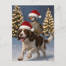 Springer Spaniel and Partridge Christmas postcard Briefkaart