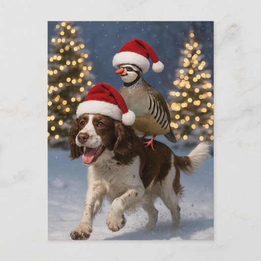 Springer Spaniel and Partridge Christmas postcard Briefkaart (Voorkant)