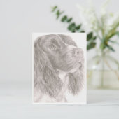 Springer Spaniel Briefkaart (Staand voorkant)