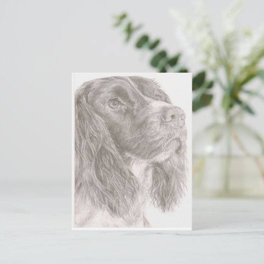 Springer Spaniel Briefkaart (Staand voorkant)