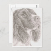 Springer Spaniel Briefkaart (Voorkant / Achterkant)