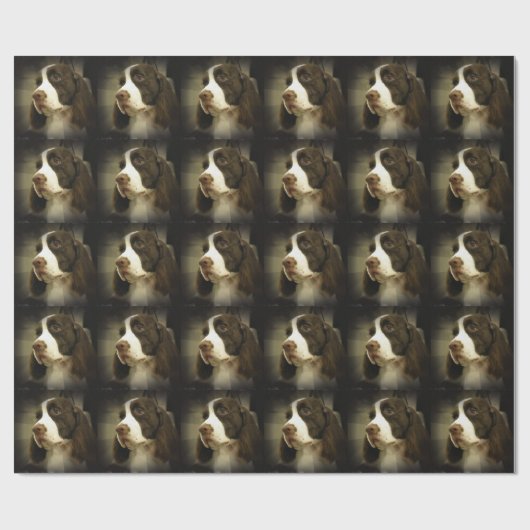 Springer Spaniel Cadeaupapier (Vlak)