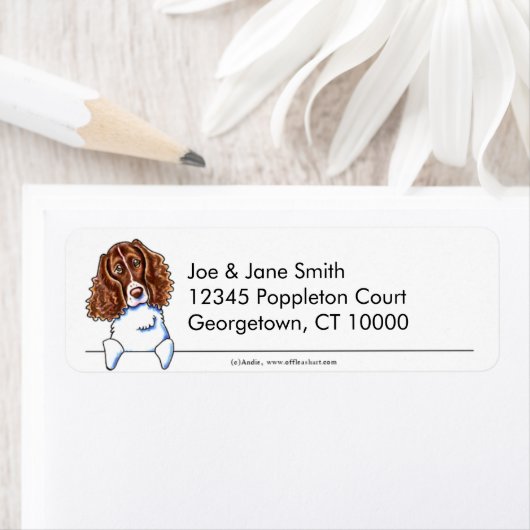 Springer Spaniel Clean in Simple Etiket (Insitu)