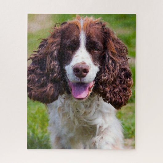 Springer Spaniel Dog Jigsaws. Legpuzzel (Verticaal)