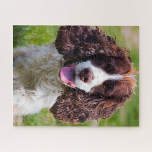 Springer Spaniel Dog Jigsaws. Legpuzzel (Horizontaal)