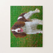 Springer Spaniel Dog Jigsaws. Legpuzzel (Verticaal)