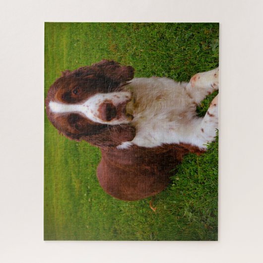 Springer Spaniel Dog Jigsaws. Legpuzzel (Verticaal)